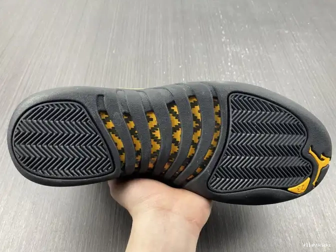 Taxi Jordan Black Air 12 CT8013-071 0626
